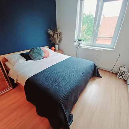 W Sercu Olsztyna Z Widokiem Na Historie Appartement