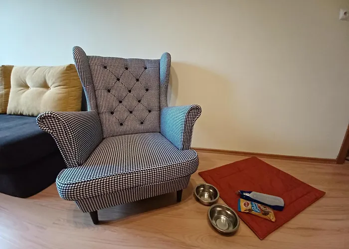 Апартаменты W Sercu Olsztyna Z Widokiem Na Historie